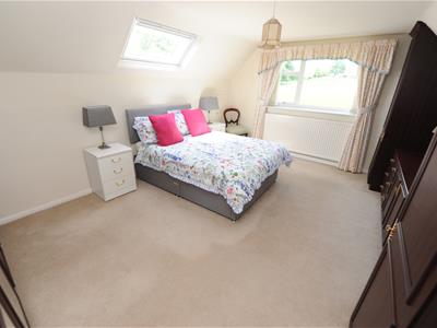 Picture 14
